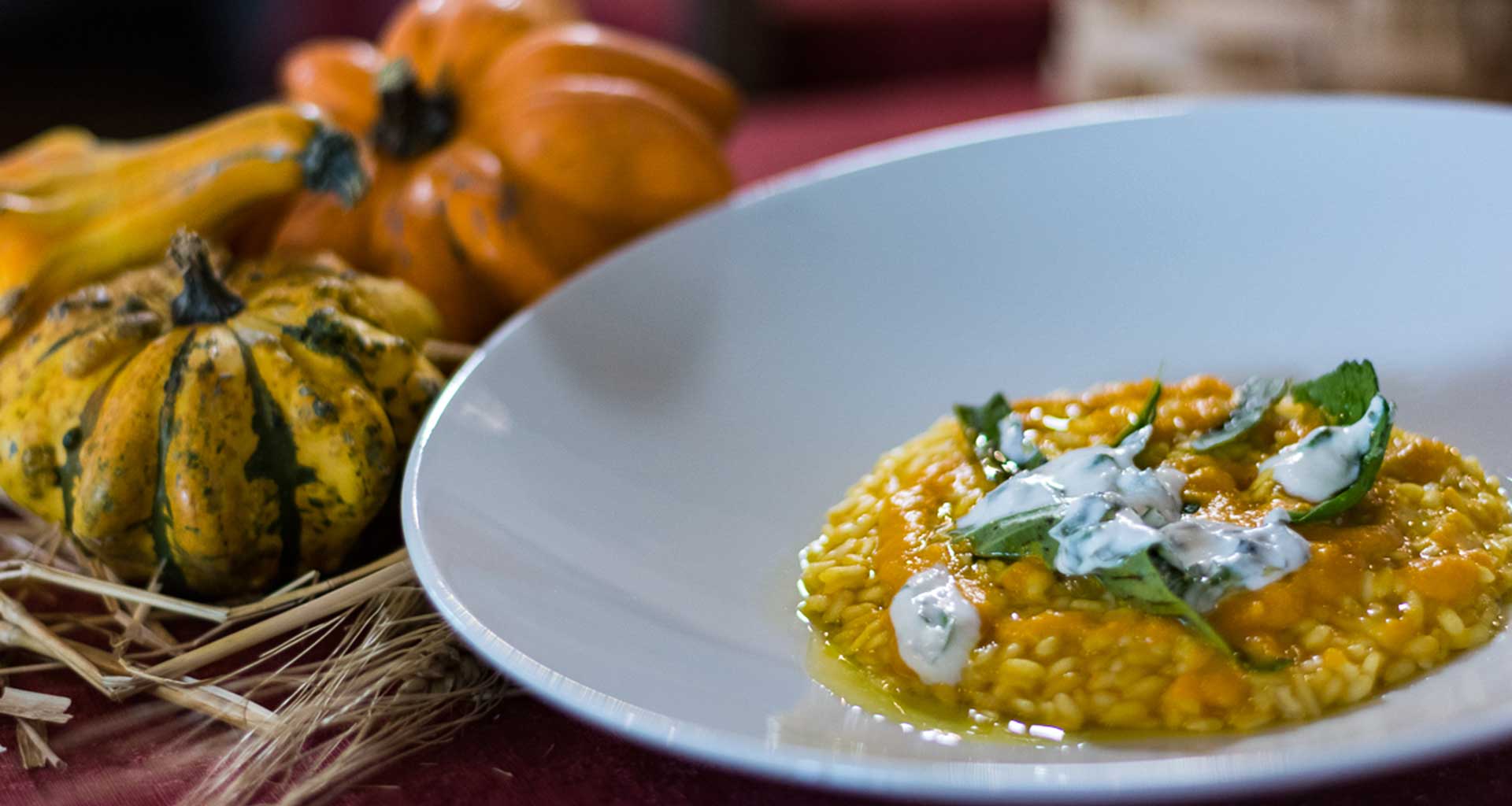 Risotto con zucca lunga napoletana e rucola con crema di erborinato